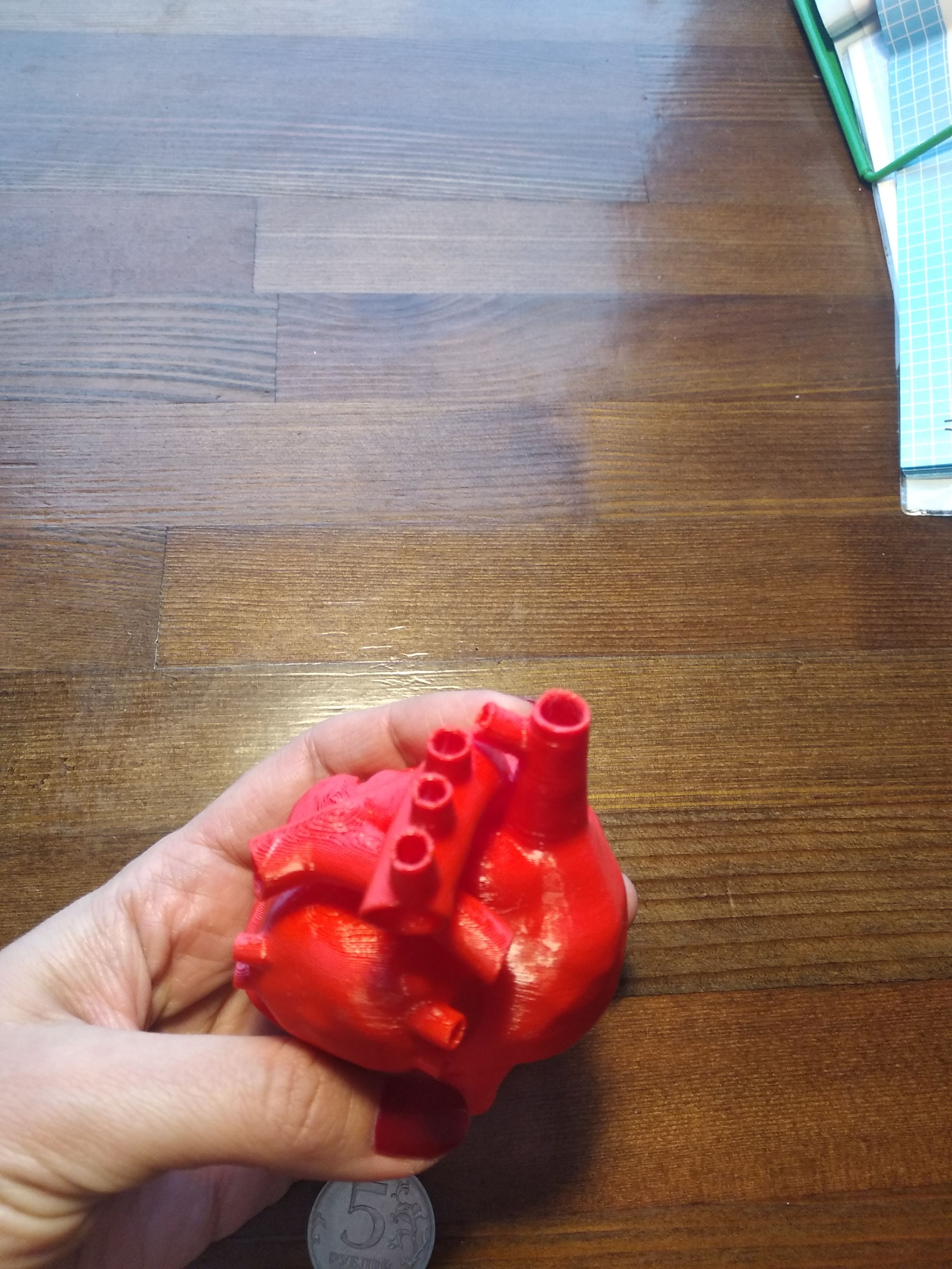 Сердце человека - 3D-модель