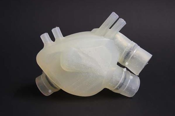 Учёные из ETH Zurich создали 3D-печатное бьющееся сердце из силикона