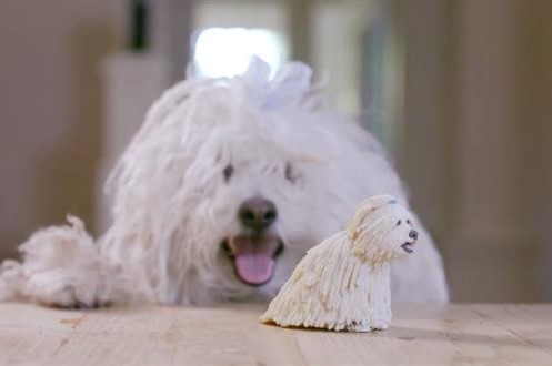 Марк Цукерберг распечатал на 3D-принтере мини-версию своей собаки в честь её дня рождения