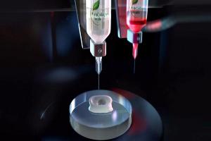 Компания CollPlant получила грант на исследование биочернил для 3D-печати органов