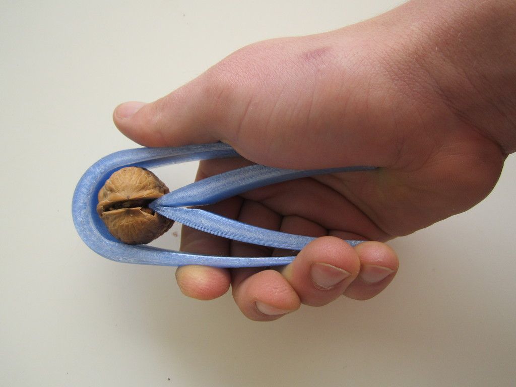  для грецких орехов - 3D-модель