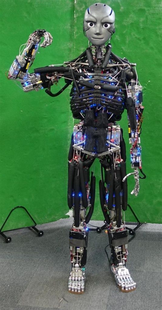 university-tokyo-researchers-create-3d-printed-humanoid-robots-pushups-sweat-1.jpg
