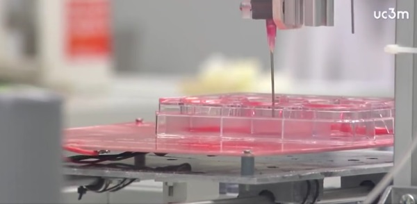 spanish-researchers-make-advances-in-3d-printing-bone-and-cartilage-tissue-5.jpeg