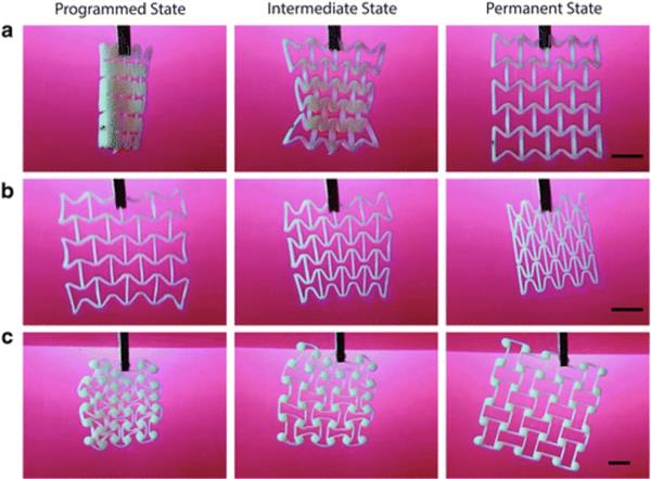 swiss-researchers-develop-4d-prints-that-can-expand-up-to-200-percent-3.jpg