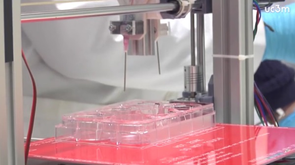 spanish-researchers-make-advances-in-3d-printing-bone-and-cartilage-tissue-6.jpeg