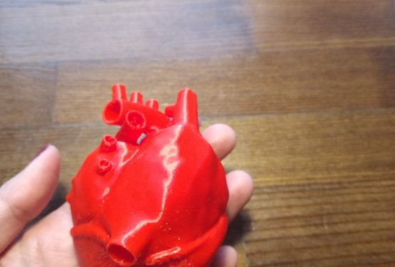 картинка Сердце человека