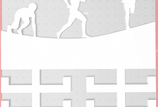 картинка Медальница