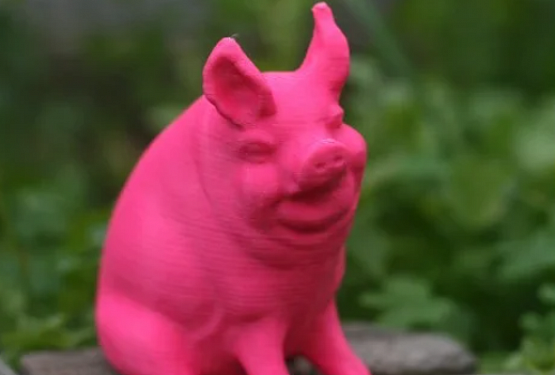 картинка Садовая свинья