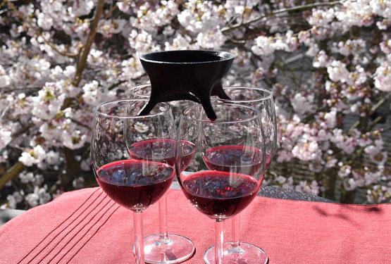 картинка Дозатор для вина и 4 друзей