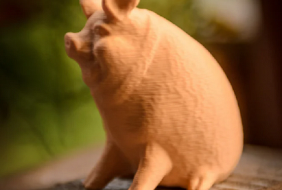картинка Садовая свинья